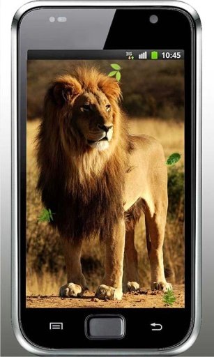 Lion Love Heart live wallpaper截图1