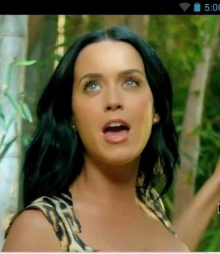 Katy Perry Roar Find Game截图2