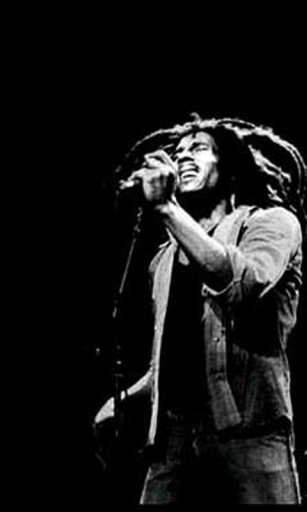 Bob Marley Live Wallpaper截图1