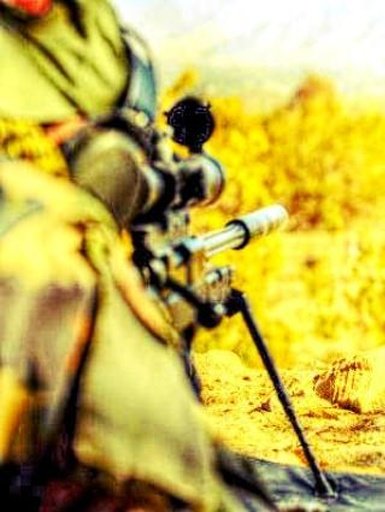 Army Shooter Sniper截图5