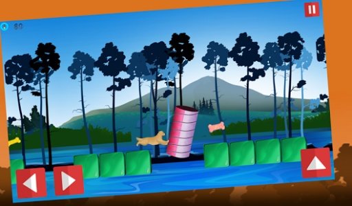 Dog Agility 2 Obstacles Race截图7