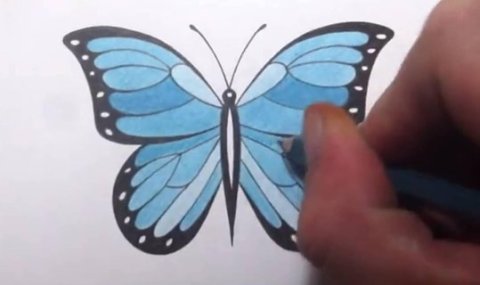 How to Draw a Butterfly截图1