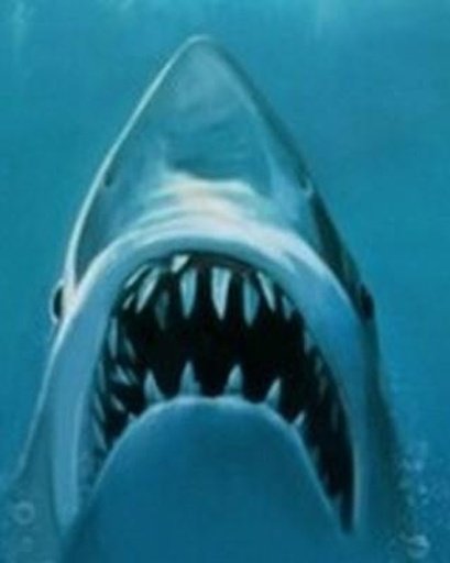 Hungry Great Shark截图4