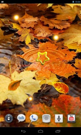 Autumn Amazing live wallpaper截图4