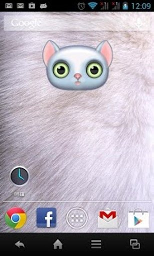 Zoo Live Wallpaper - Cat截图5