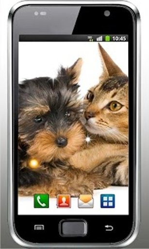 Puppy Best Free Live Wallpaper截图2