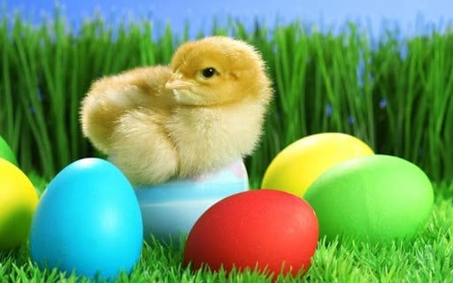 Easter Day Pretty Wallpapers截图3