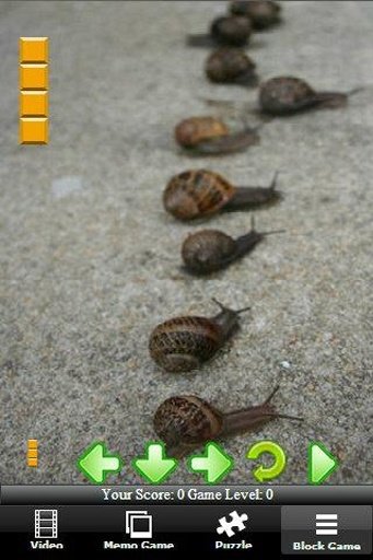 Turbo Racing Snail截图1