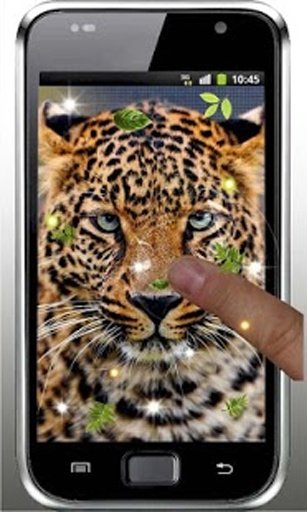 Jaguar Sounds live wallpaper截图3