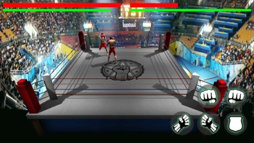 crazy boxing 3D截图3