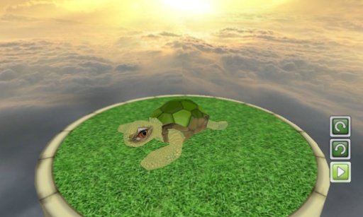 Turtle Pet3D截图6