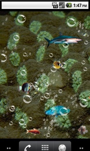 Top aquarium Live Wallpaper截图4