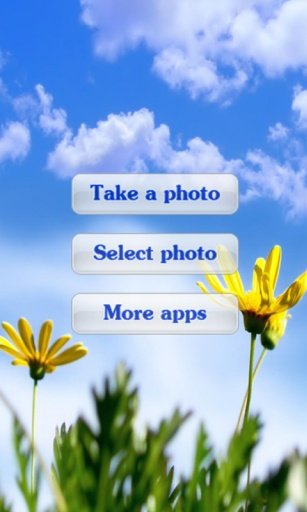 Flowers Photo Frames截图1