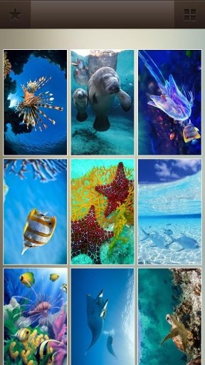 Ocean Life Lock Screen截图2