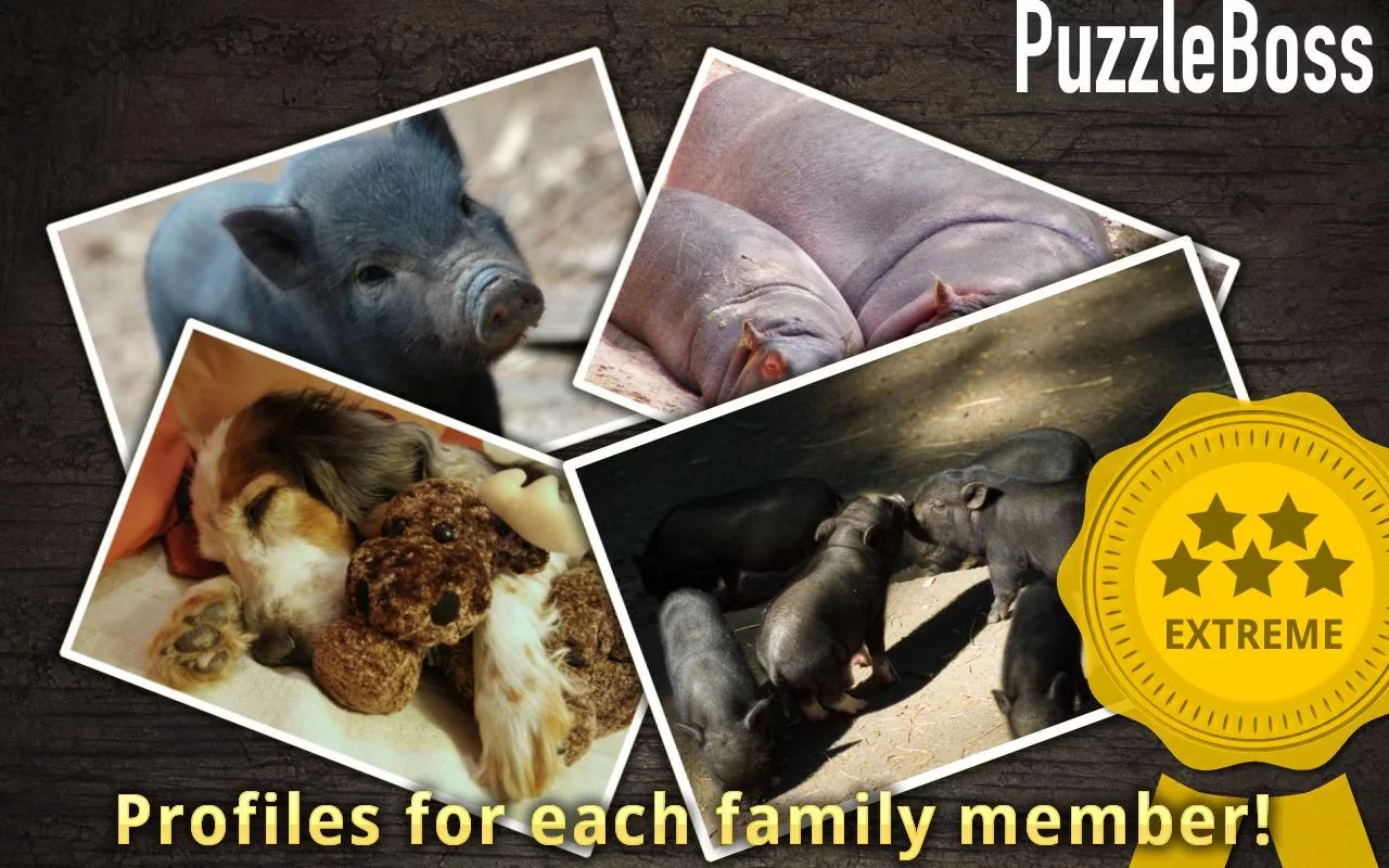 Cute Animal Jigsaw Puzzles截图5