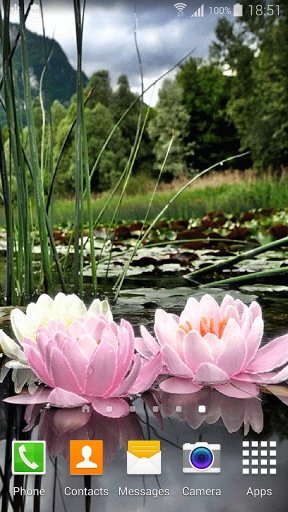 Waterlily截图3