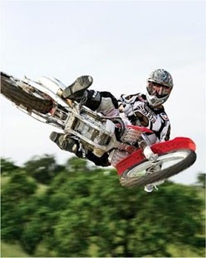 Motocross Meltdown截图1