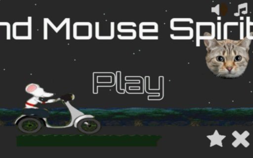 Cat And Mouse Spirit Race截图3