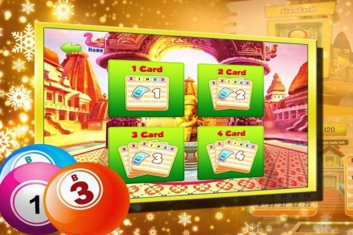 Best Casino Bingo截图4