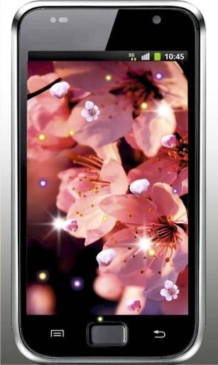 Best Sakura HD live wallpaper截图1