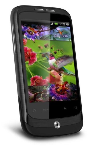 Colibri Game Live Wallpaper截图3