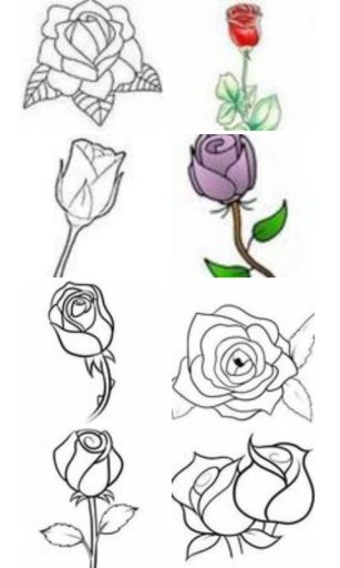 Drawing roses截图2