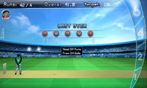 Cricket League 2015截图1