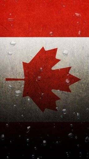 Canada flag water effect LWP截图4