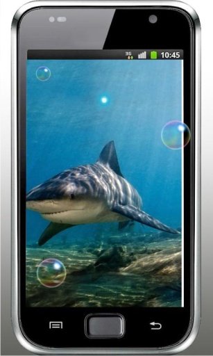 Sharks Free live wallpaper截图1