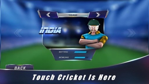 Touch Cricket World Cup 2015截图1