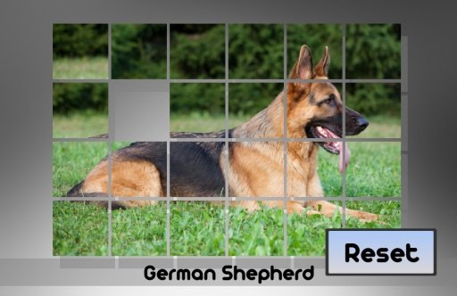 German Shepherd Puzzle Game截图6