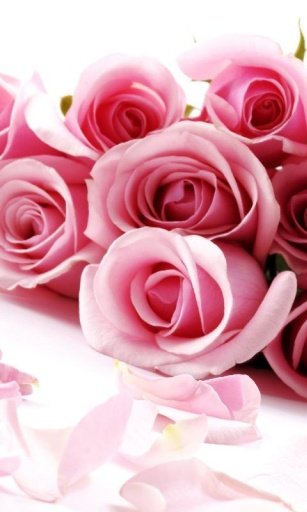 Flowers HD Wallpaper Free截图8