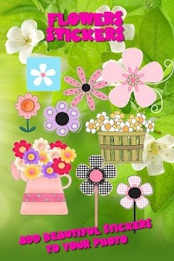 Flower Photo Frames HD截图2