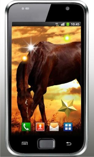 Horses Sunset live wallpaper截图1