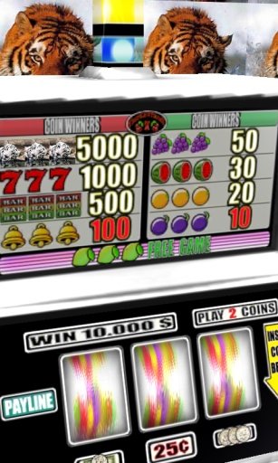 United Tiger Slots - Free截图3