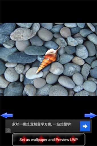 Colorful Stone Live Wallpaper截图1