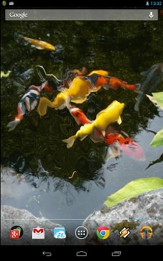 Realistic Koi. Live Wallpaper.截图6