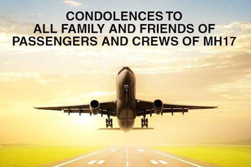 PRAY FOR MH17截图1