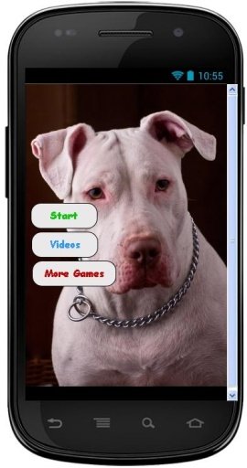 Dog Puzzle: Pitbull截图4