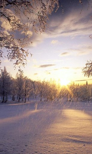 Winter Snow HD Wallpapers截图2