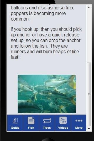 Guide to Fishing Adelaide截图4