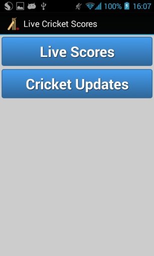 Live Cricket Scores Indo - Pak截图2