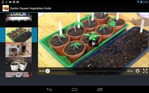 Garden Square Vegetables Guide截图1