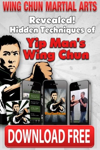 Yip Man Wing Chun Wushu截图2