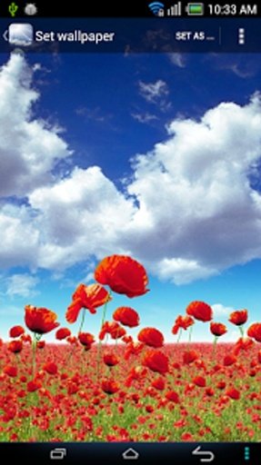 Sky Wallpapers截图6