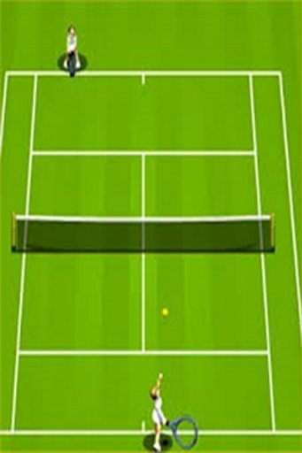 Tennis Flick 3D截图6