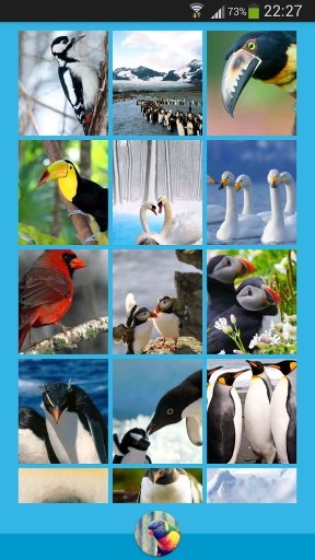 Animals Wallpapers截图3