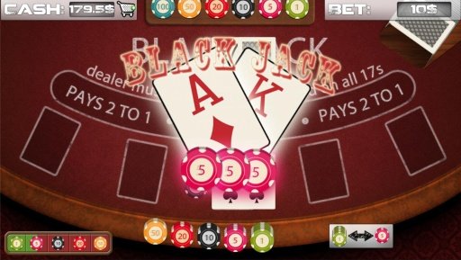 BlackJack Casino FREE &amp; FAST截图3
