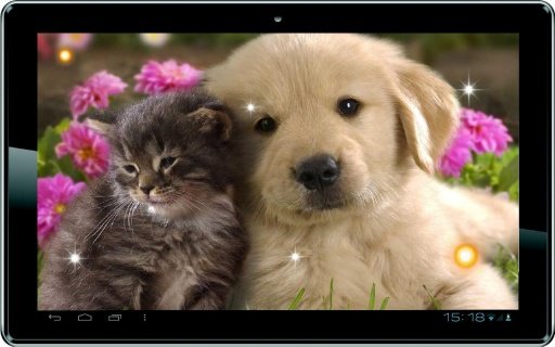 Puppy Best Free Live Wallpaper截图7