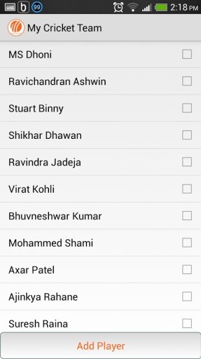 My Cricket Team截图2